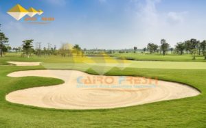 Silica Sand For Golf Course