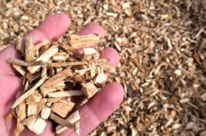 wooden pallets " Biomass "