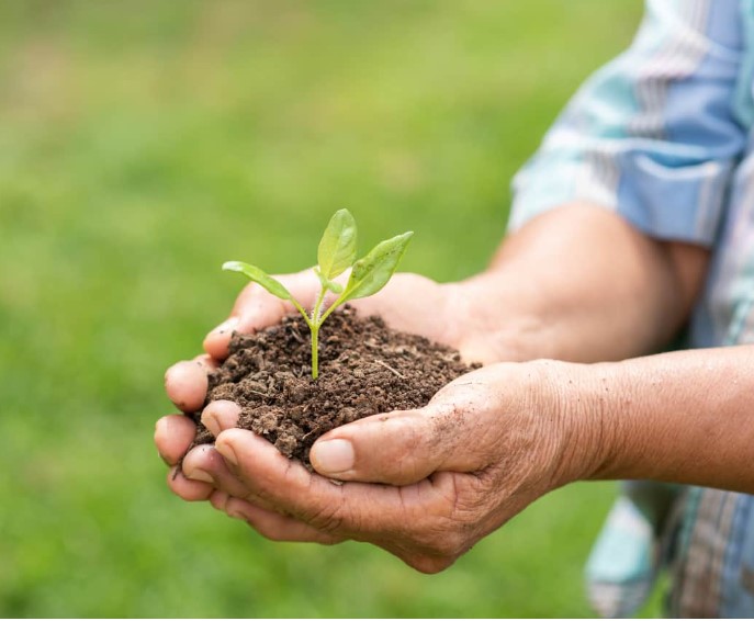 desalinización de agua de mar, advantages of sand filters, silica sand in agriculture, Sand Media in Water Filtration